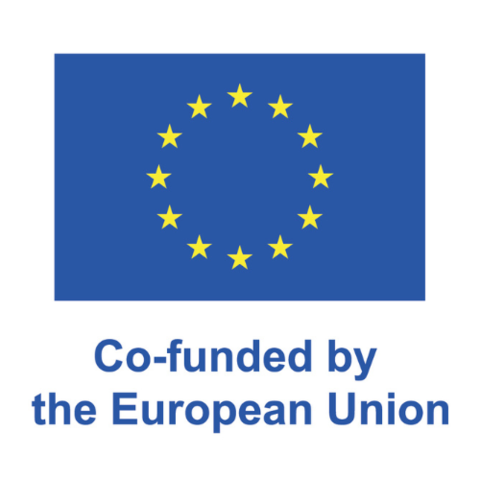 EU logo EU logo